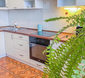 Dniprovs'kyi District Apartment | Rent Kiev Apartment 2 min metro Chernihivska