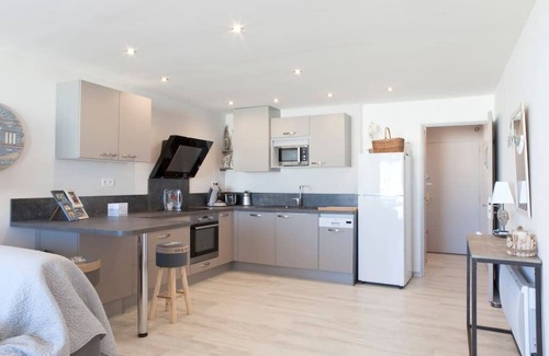 Le Grau-Du-Roi Apartment | RENT SEA VIEW-DIRECT ACCESS TO THE BEACH, 48 M2 T2 LE GRAU DU ROI -LE BOUCANET