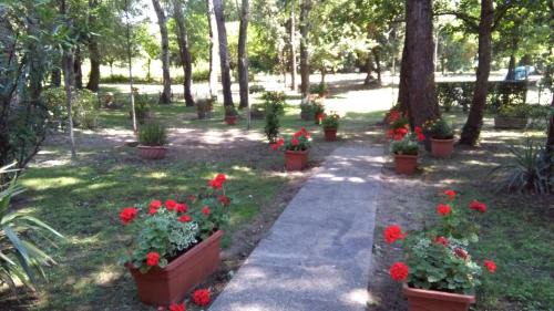 Viareggio Apartment | Residence Lagomare