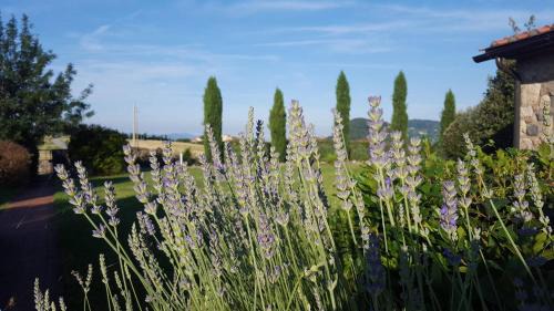 Volterra Apartment | Residence la Colombaina