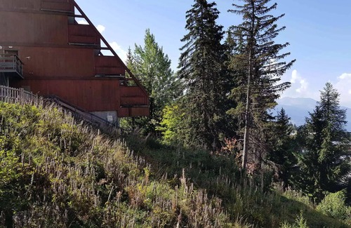 Arc-1600 Apartment | Residence Roc Belleface C - Apartment 3 rooms 8 people in Arc 1600 next to the slopes and shops, with free access to the swimming pool and sauna