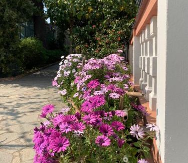 Savona Apartment | Resort Dependance di Villa Rosa Maria