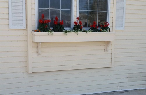 Naples House | Retired resident of sunny Naples