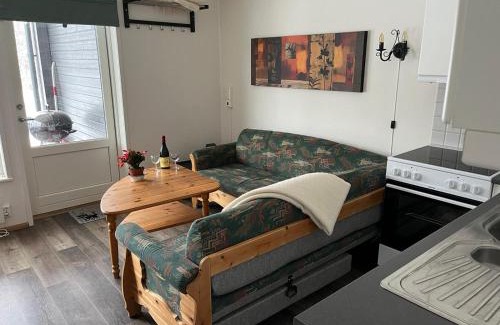 Vang Apartment | Rett ved Raudalen Alpinanlegg