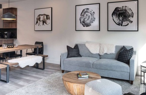 Revelstoke Condo | Revelstoke - Altitude Adjustment