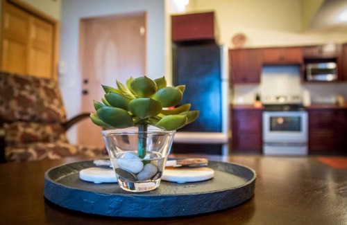 Revelstoke Condo | Revelstoke - Give Something Back Retreat