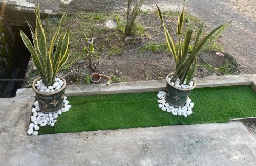 Bedung House | Rex Zone Homestay