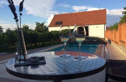 Horni Vestonice Apartment | Rezidence Věstonice