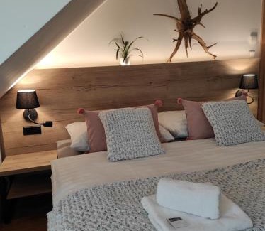 Kasperske Hory House | Rezidence VOGELSANG