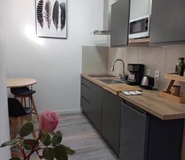 Viviers Apartment | Rhône Studio avec terrace parking privé