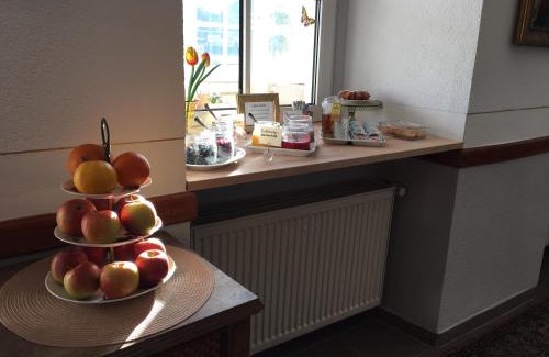 Sankt Goar Hotel | Rheinhotel St. Goar