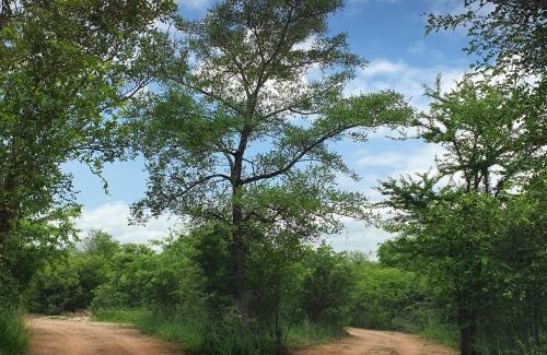 Ha-Lambani Cabin | Rhumbini Lodge