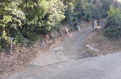 Cardo Villa | Ribellu