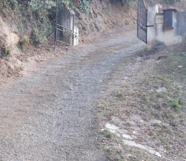 Cardo Villa | Ribellu
