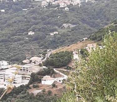 Cardo Villa | Ribellu