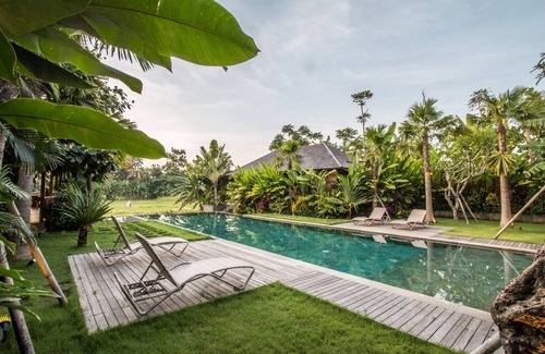 Banjar Semer Villa | Rice Field View 7BR Villa, Canggu - W/Jacuzzi & Sun Loungers!