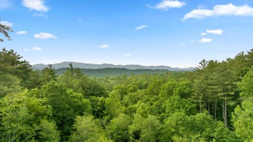 Ellijay House | Rich Mountain Chateau - Luxury Elegant Escape