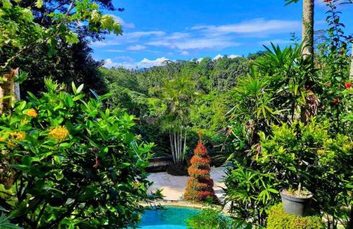 Nyuh Kuning Apartment | Ritika 1 BR Deluxe Garden view ZN238