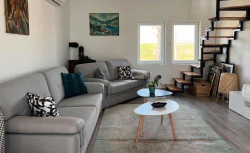 Belgrade House | River House Zizi