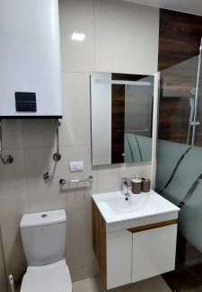 Donji Milanovac Apartment | RiVER