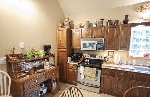 Blairsville Cabin | River Side Retreat Beautiful 4 Bedroom on the Nottely River in Blairsville GA