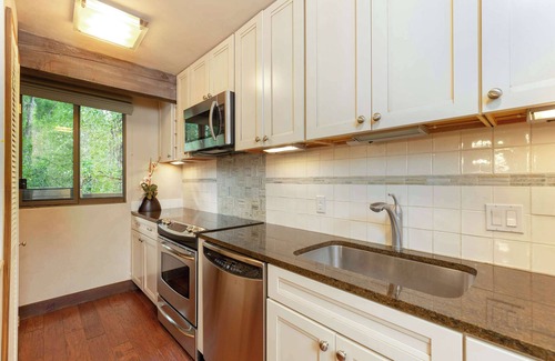 Aspen Condo | Riverfront 2 BR - Steps to Gondola & Town!