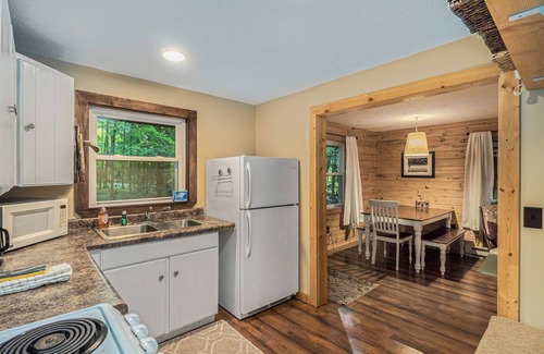 Frankfort House | Riverfront cabin on the Betsie with private dock, kayaks & bikes - 2 dogs OK
