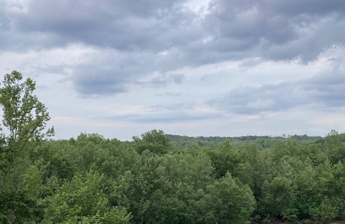 Van Buren Cabin | Riverfront Current River Cabin in Van Buren Mo!