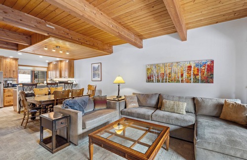 Telluride Condo | Riverside A103-Telluride Condo Near Ski Lifts & Downtown