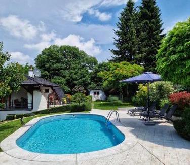 Petrovaradin Apartment | Riverside Pool Villa