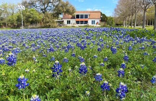 La Hacienda Estates House | Road Runner Lodge