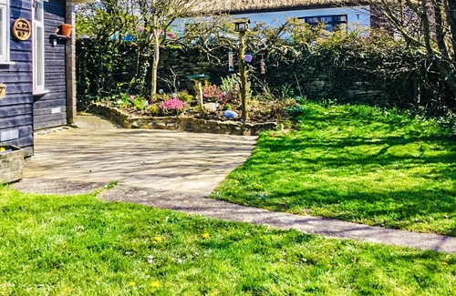 Bideford Cottage | Robin's Nest Bungalow - UK39619