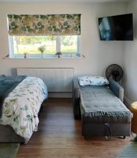 Boston Apartment | Robin's Nest Guestroom