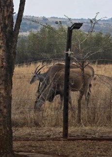 Krugersdorp Cabin | Rocky Aloe Escape