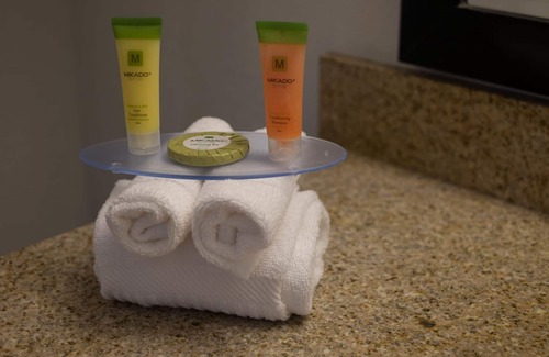 Clearwater Hotel | Rodeway Inn Clearwater - Central
