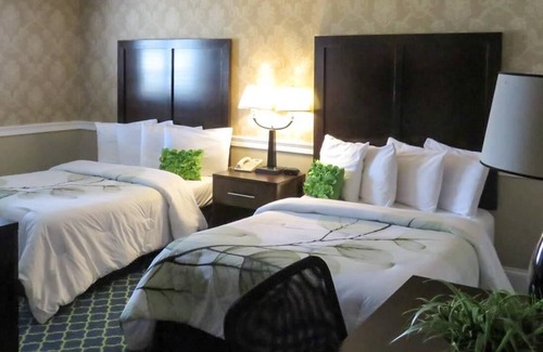 Revere Hotel | Rodeway Inn Logan International Airport