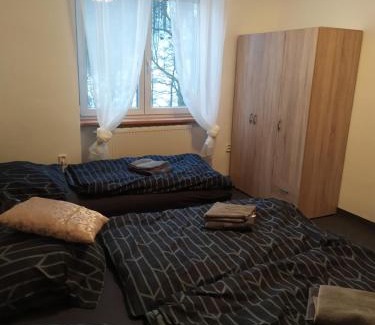 Stare Mesto Apartment | Rodinný apartmán Nová Seninka