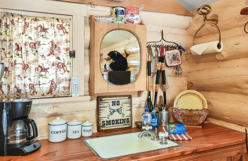 Williams House | Roger's Cabin | Historic Log Cabin in the Woods | Near Grand Canyon & Flagstaff
