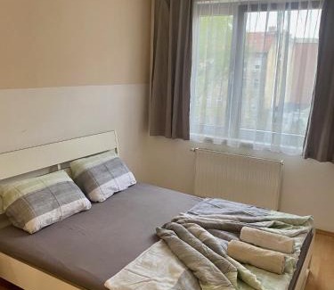 Erzsebetvaros Apartment | Roland Apartment Downtown - Garay