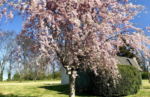 Goodlettsville House | Rolling Acre Retreat ~ Monthly Room Rental ✨Close To Nashville’s Best Spots✨