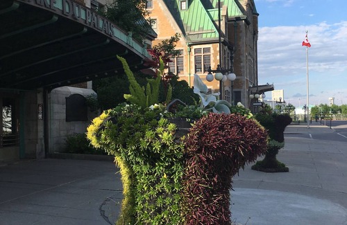 Old Quebec Condo | Romantic Condo in Old Quebec - Petit Douillet Vieux Québec