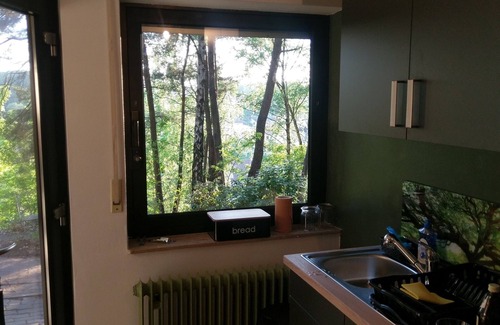 Kaiserslautern Apartment | Romantic nest. Modern oasis of peace on the outskirts of Kaiserslautern .Free WiFi