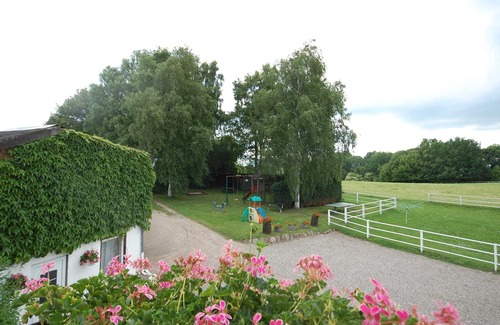 Sierksdorf Apartment | Room 3 with own shared shower /WC in the ground floor - Field view - Pension Pohnsdorfer Mühle Guest room