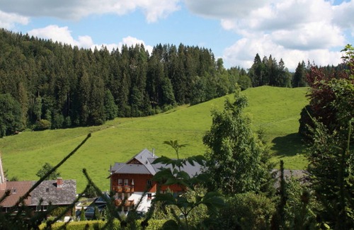 Hinterzarten Apartment | Room 'Familienzimmer' with Shared Terrace, Balcony and Wi-Fi