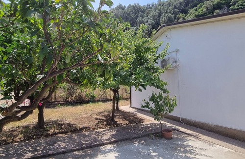 Palmi Villa | Room in cottage Holiday home in Palmi Pietrenere.