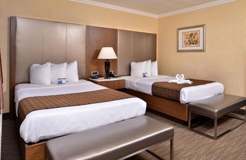 Hollywood Hotel | Room Near Iconic Hollywood Attractions Like Runyon Canyon & More