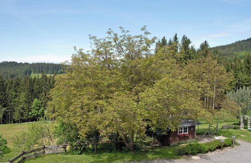 Titisee-Neustadt Apartment | Room 'Nr 6' with Mountain View, Shared Terrace and Wi-Fi