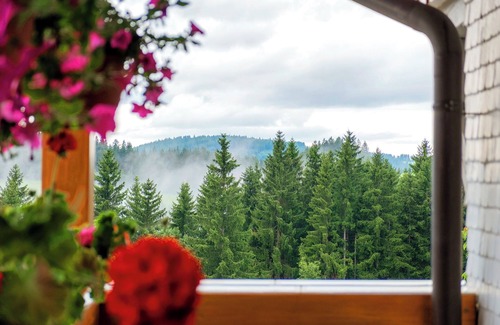 Titisee-Neustadt Apartment | Room 'Nr 7' with Mountain View, Shared Terrace and Wi-Fi