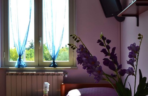 Caltanissetta House | Room-suite Rosa - B&b S - Elia