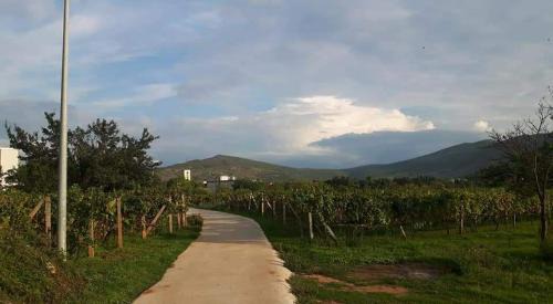 Medjugorje Bed & Breakfast | Rooms Ivan-Popić
